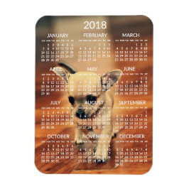Ímã Imagem do Calendário Chihuahua 2018 3x4 Pequeno