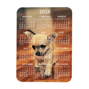 Ímã Imagem do Calendário Chihuahua 2018 3x4 Pequeno