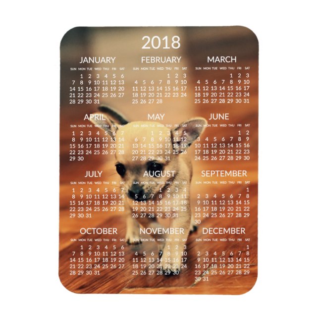 Ímã Imagem do Calendário Chihuahua 2018 3x4 Pequeno (Vertical)