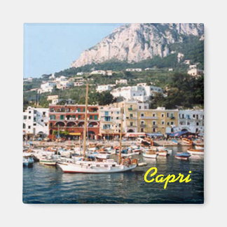 Imã Imagem do Capri
