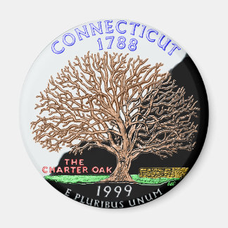 Imã Imagem do Connecticut