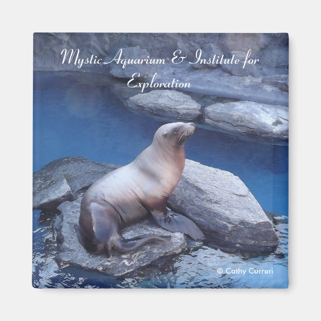 Imã Imagem do Connecticut (Frente)