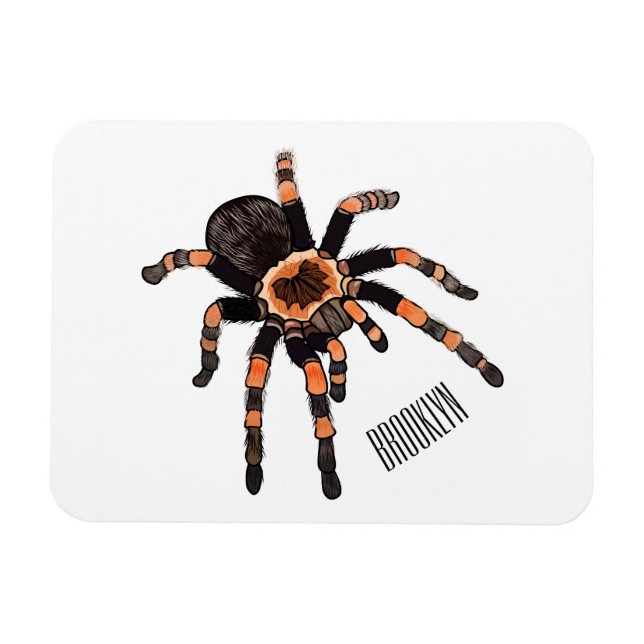Ímã Imagem do desenho de Tarantula (Horizontal)