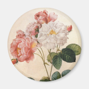 Imã Imagem do Frigorizador Rosa Rosa Rosa de Arte Vint