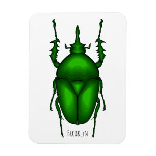 Ímã Imagem do inseto Mecynorhina torquata