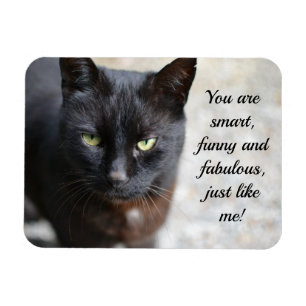 Ímã Imagem do Lover Gato Preto com Citação Motivativ