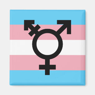 Imã Imagem do Orgulho Transgênero