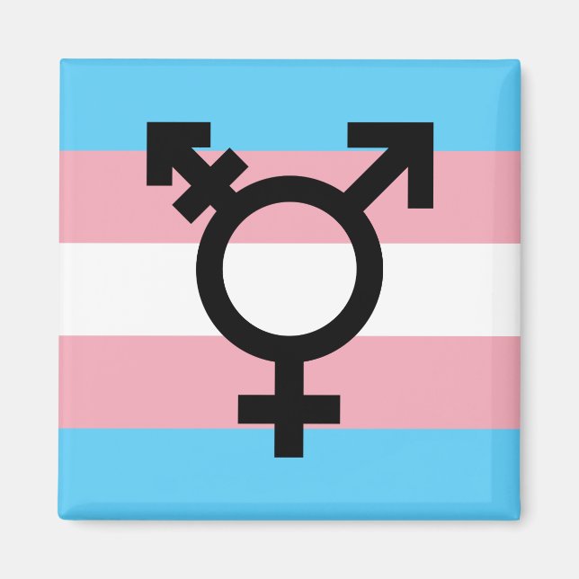 Imã Imagem do Orgulho Transgênero (Frente)