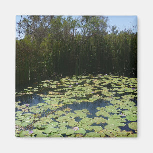 Imã Imagem do Outdoor Lily Pads