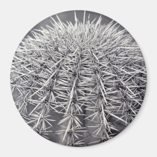 Imã Imagem do Refrigerador do Deserto de Cactus Sonora