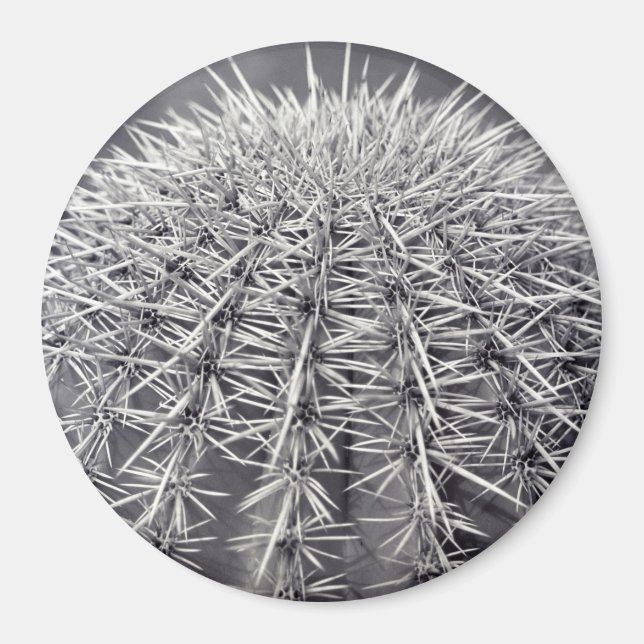 Imã Imagem do Refrigerador do Deserto de Cactus Sonora (Frente)
