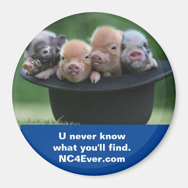 Imã Imagem do Shelby NC (Frente)