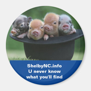 Imã Imagem do Shelby NC