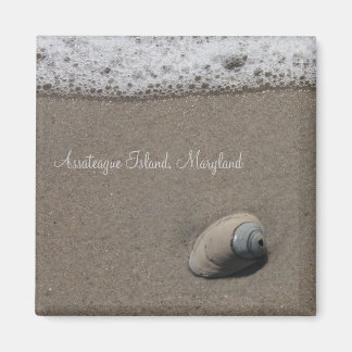 Imã Imagem do Shell AI