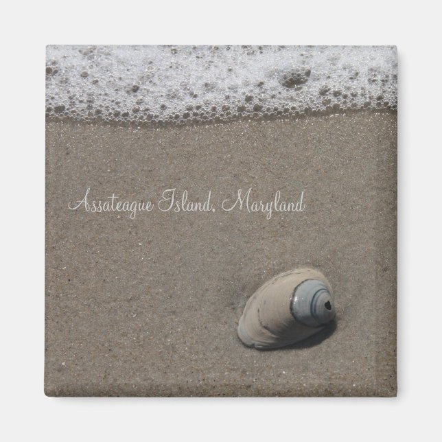 Imã Imagem do Shell AI (Frente)