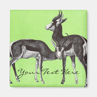 Imã Imagem do Springbok Vintage
