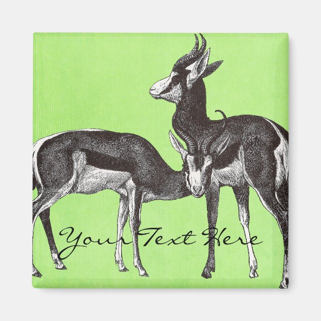 Imã Imagem do Springbok Vintage (Frente)