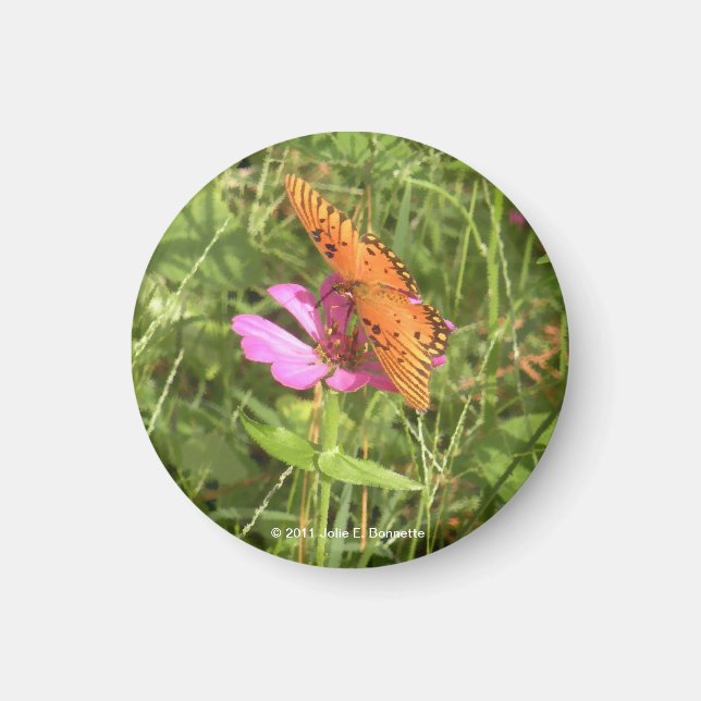 Imã Imagem do Zinnia & Butterfly (Frente)
