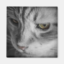 Imã Imagem em Preto e Branco de Gato