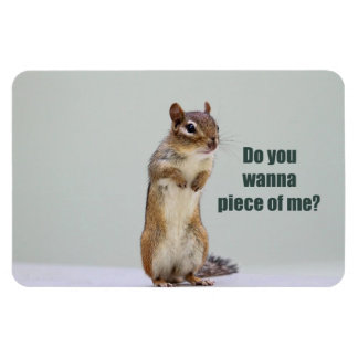 Ímã Imagem engraçada do Chipmunk
