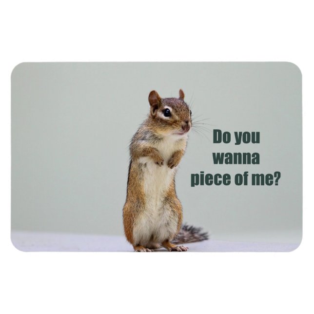 Ímã Imagem engraçada do Chipmunk (Horizontal)