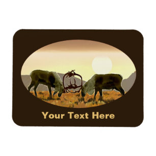 Ímã Imagem farinada