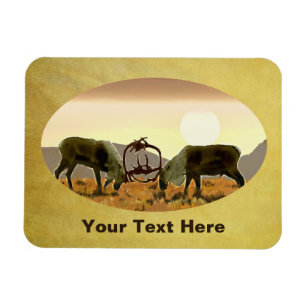 Ímã Imagem farinada