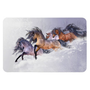 Ímã Imagem Flexi Premium de Voo de inverno