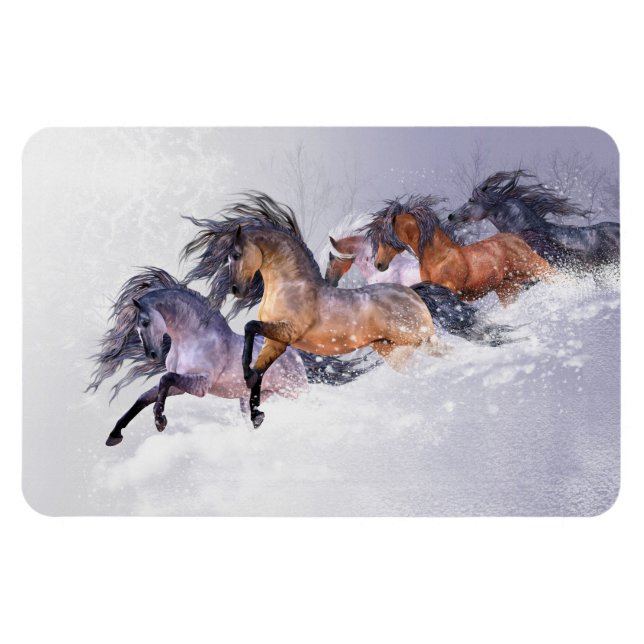 Ímã Imagem Flexi Premium de Voo de inverno (Horizontal)