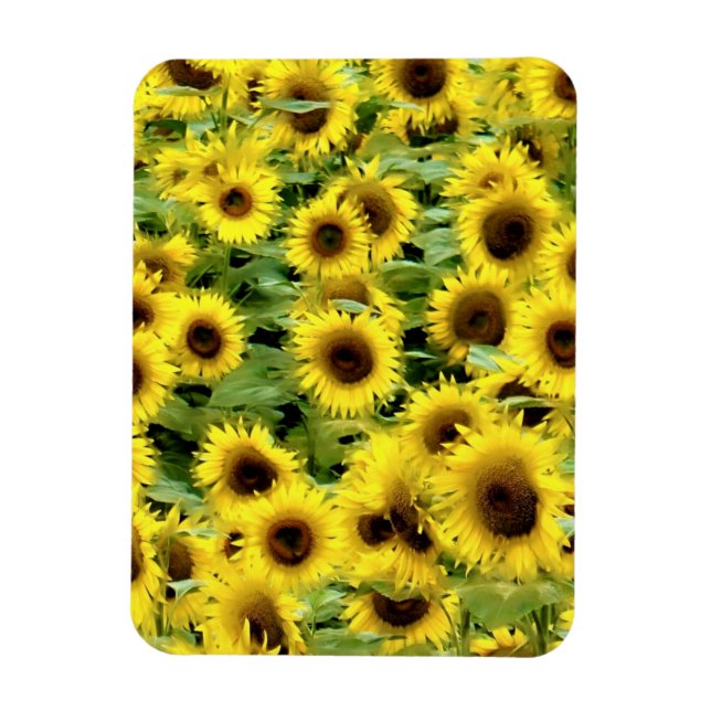 Ímã Imagem flexível (Vertical)