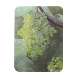 Ímã Imagem flexível