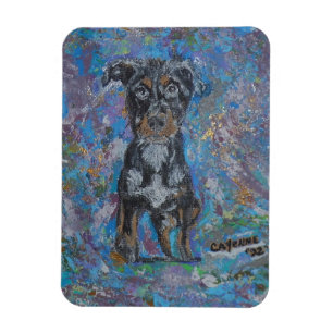 Ímã Imagem flexível