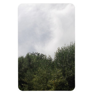 Ímã Imagem flexível