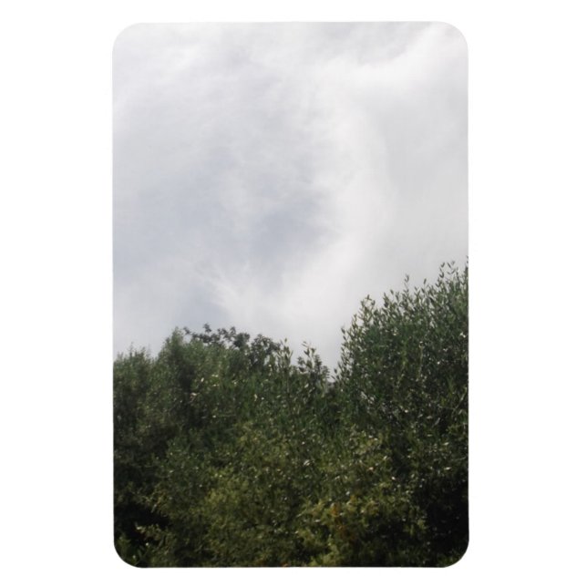 Ímã Imagem flexível (Vertical)