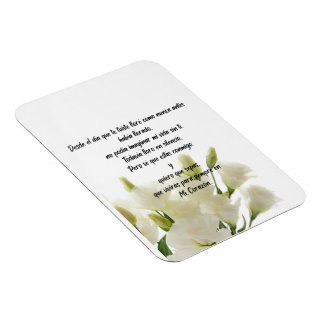 Ímã Imagem flexível