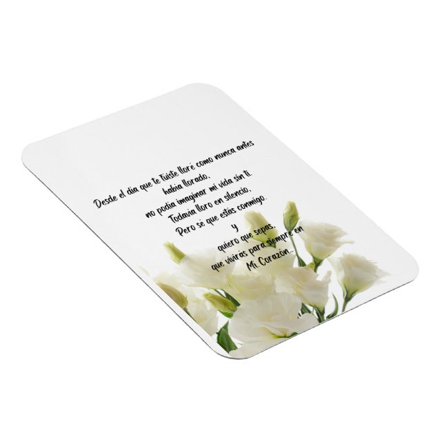 Ímã Imagem flexível (Lado Direito)