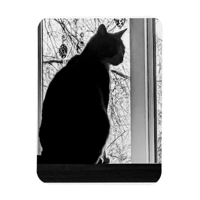 Ímã Imagem flexível (Vertical)