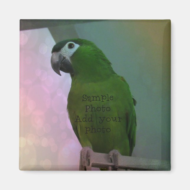 Imã Imagem fotográfica (adicione sua foto) (Frente)