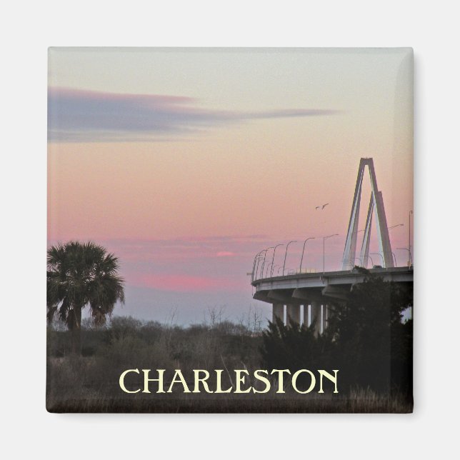 Imã Imagem Fotográfica de Charleston Souvenir (Frente)