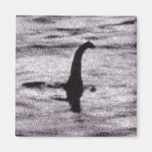 Imã Imagem Fotográfica do Cirurgião