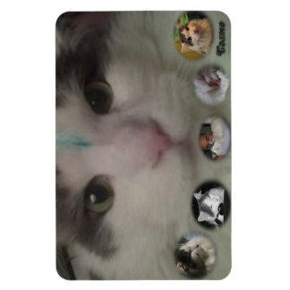 Ímã Imagem fotográfica do Cosmo Collage