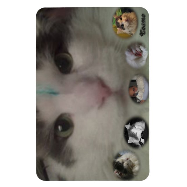 Ímã Imagem fotográfica do Cosmo Collage (Vertical)