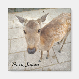 Imã Imagem fotográfica do Souvenir Nara Japan