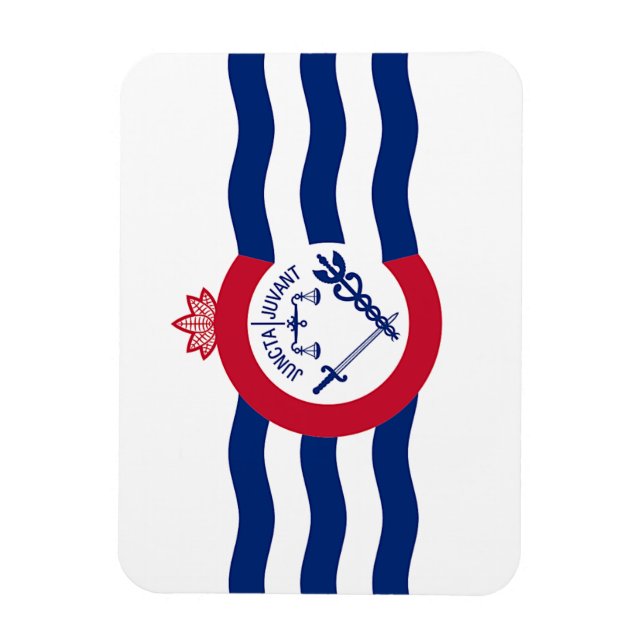 Ímã Imagem fotográfica flexível com bandeira de Cincin (Vertical)