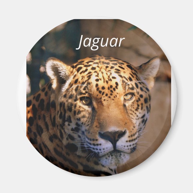 Imã Imagem fotográfica Jaguar (Frente)