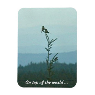 Ímã Imagem fotográfica - No topo do mundo ...