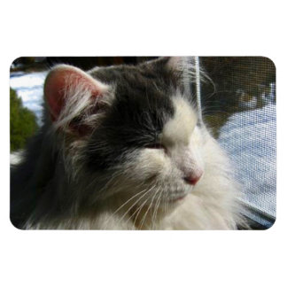 Ímã Imagem fotográfica personalizada Cosmo 4 X 6