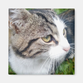 Imã Imagem fotográfica personalizada para o frigorífic