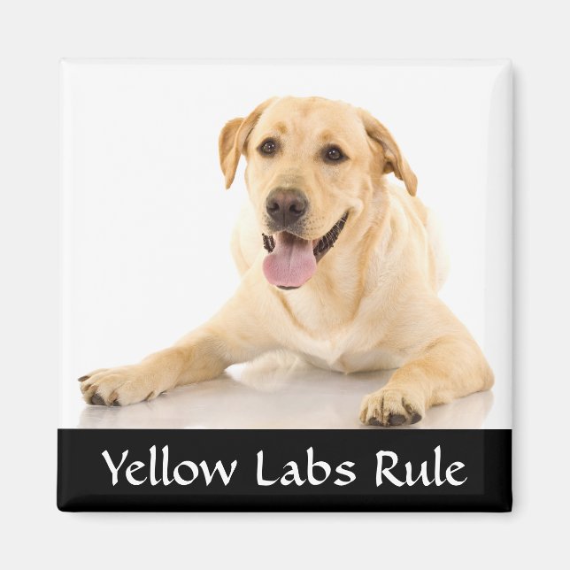 Imã Imagem "Labrador Retreiver" da Regra dos Laboratór (Frente)