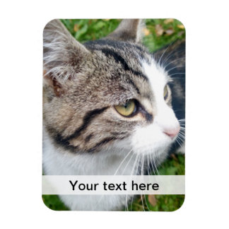 Ímã Imagem personalizada | Carregue sua imagem aqui